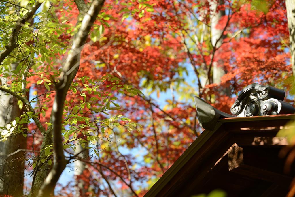 ホテル 天ヶ瀬温泉 山荘 天水 日田市 エクステリア 写真